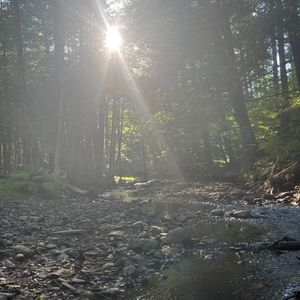 Meet your Posher, Autumn